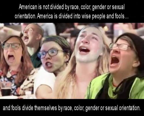 America is not divided by