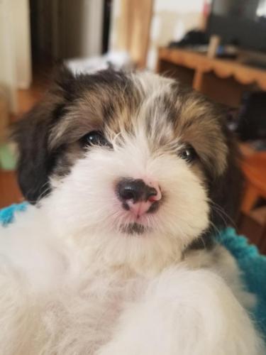 16:05:16 GMT-0400 (EDT)