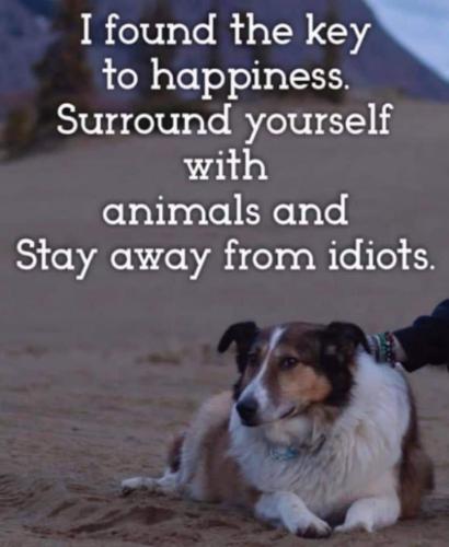 14:29:43 GMT-0400 (EDT)