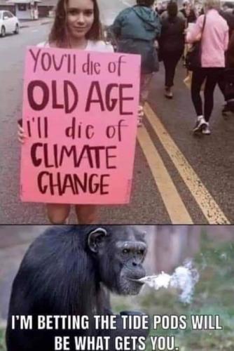 64639947_882109958817725_9194951469457997824_n