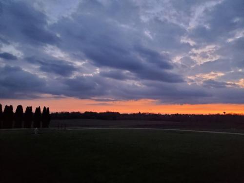 20:30:03 GMT-0400 (EDT)