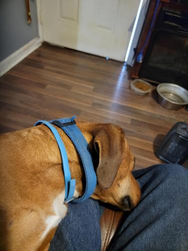 19:57:17 GMT-0500 (CDT)