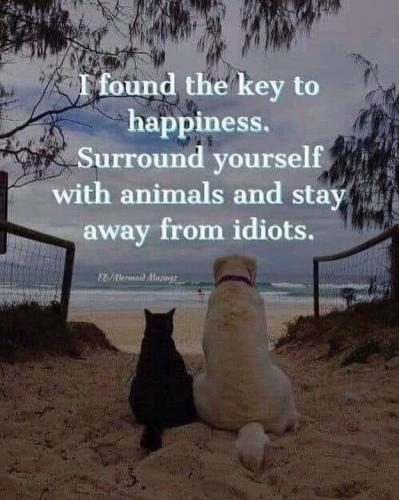 21:55:31 GMT-0700 (PDT).image