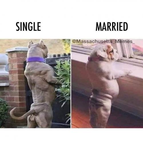 13:03:34 GMT-0400 (EDT)