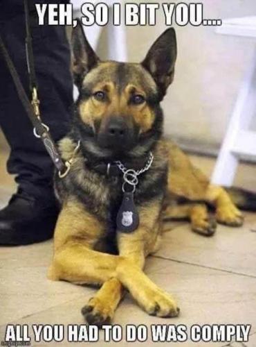 13:10:43 GMT-0700 (PDT).image