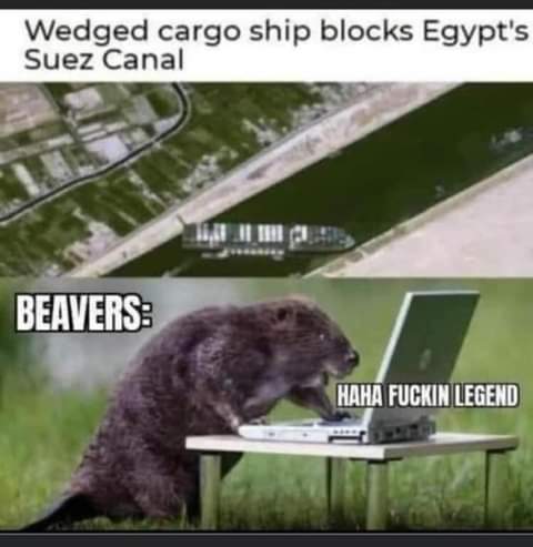 23:08:11 GMT-0700 (PDT)