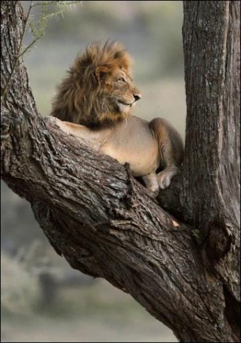 tumblr_8af44fffd640ba92648688aeea26a2c7_42fd5e22_400