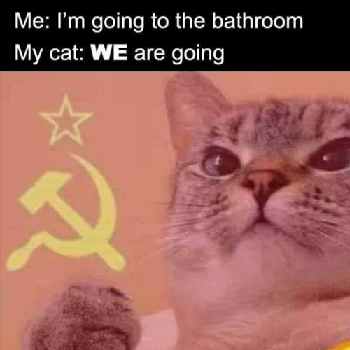 116277463_2704088336578010_6994448971117809275_n