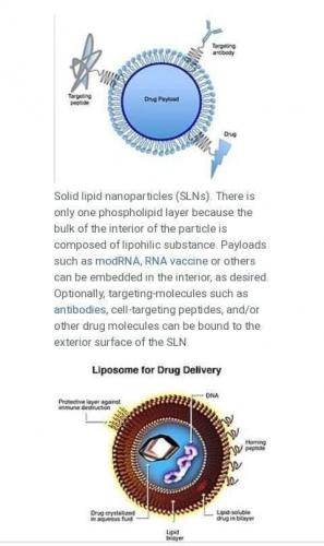 C23E0945-F0B1-465D-B5FF-4453DC62A459