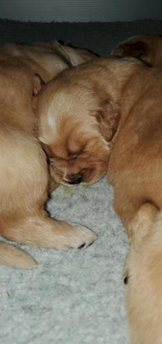 12:33:14 GMT-0400 (EDT)