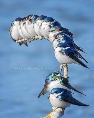 173597075_145393174188720_2486030385341022355_n