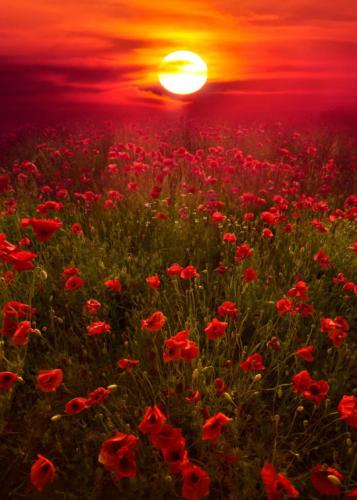 tumblr_psa4khqro41szm930o1_540