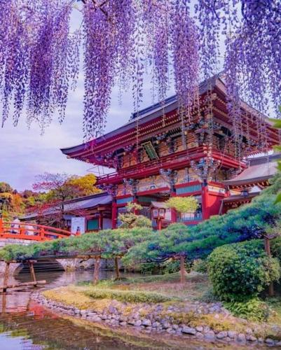 180677819_2844330645783393_1747974804974712479_n