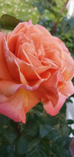 23:34:12 GMT-0700 (PDT)