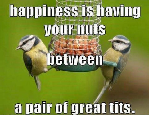 happiness is having