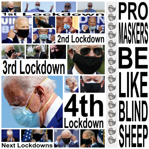 Joe Biden Pro Maskers Be Like Blind Sheep Mask Phase Lockdown Meme