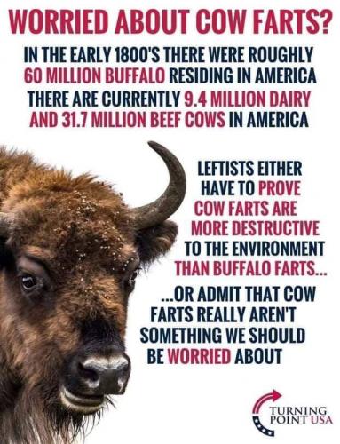 cow farts