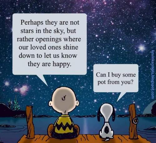 10:12:31 GMT-0400 (EDT)