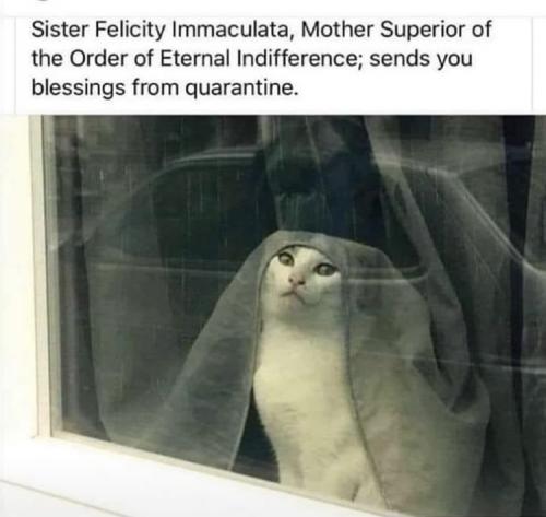 4D0A74F7-5BDC-498D-B622-8E2038DD1014