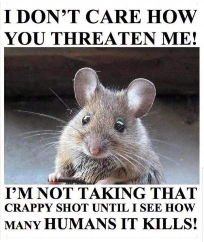 12:41:03 GMT-0600 (MDT)