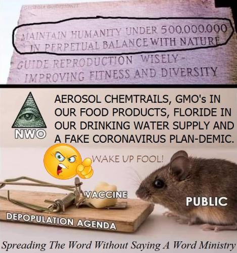 161655183_10164912432555646_520100453419871412_n