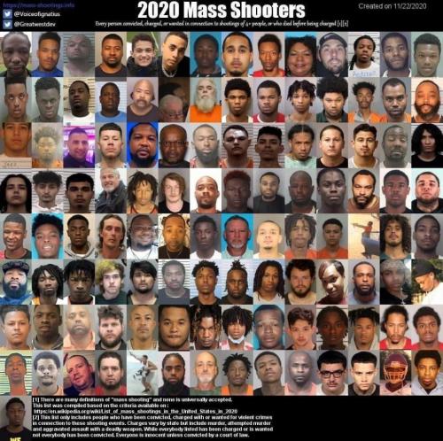 2020 MASS SHOOTERS