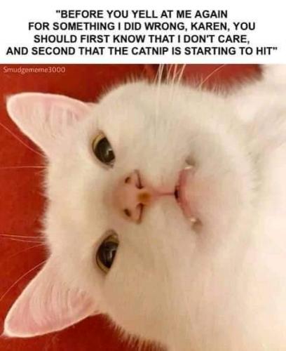 13:40:46 GMT-0700 (PDT)