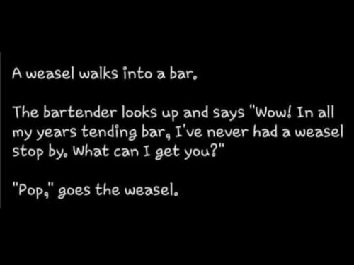 07:56:50 GMT-0500 (CDT)