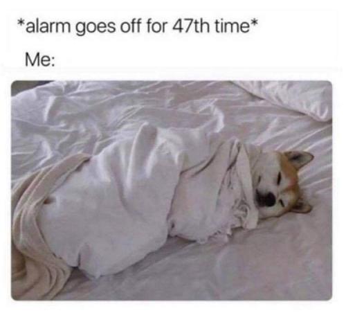 06:02:49 GMT-0400 (EDT)