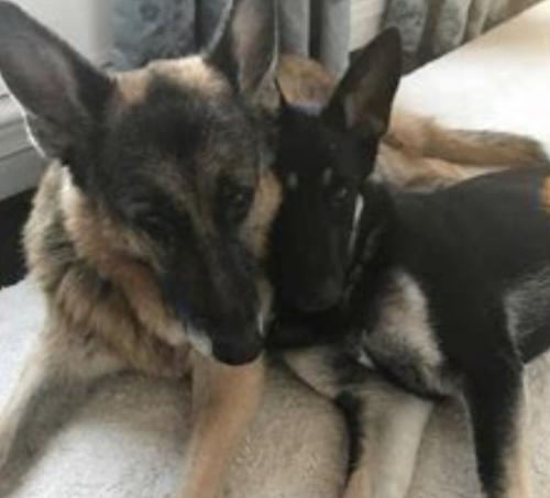 00000000000000000000000000000000000000000000000000000000000000000000000000000000000000000000000000000000000000000000000000000000000000000000000000000000000000000000000000000000000000000000000erdfbplmk