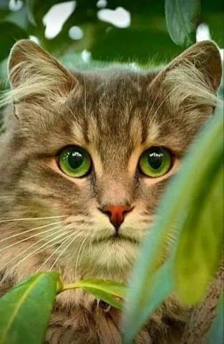 13:50:58 GMT-0500 (CDT)