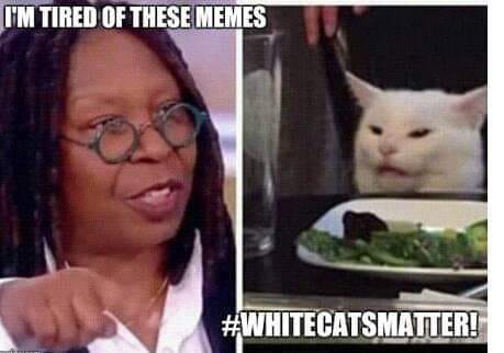 79116913_242959686688000_5594843211173462016_n