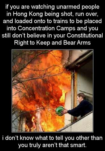 your constitutional right to keep and bear arms