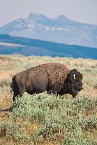 b9a729ef0e396824b2ac8a26739d7f3d