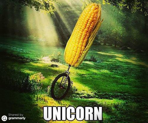 11703202_948561995186551_2516888036185001835_n