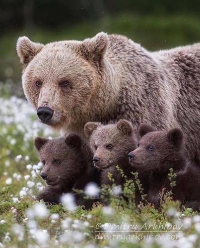 170995003_1841797172653153_5233338747867693210_n