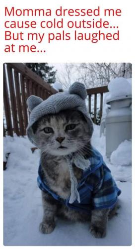 22:47:01 GMT-0700 (PDT)