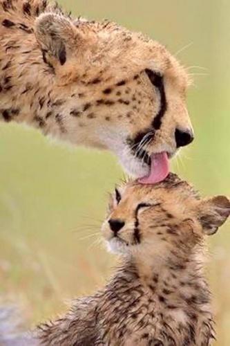 170521715_263424532110843_2072856121387456431_n