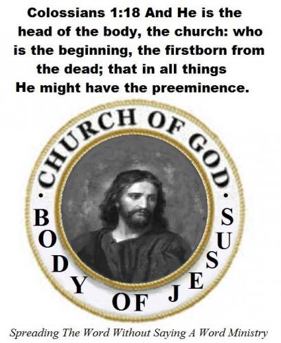 57595657_2113058095459977_7912061355371266048_n