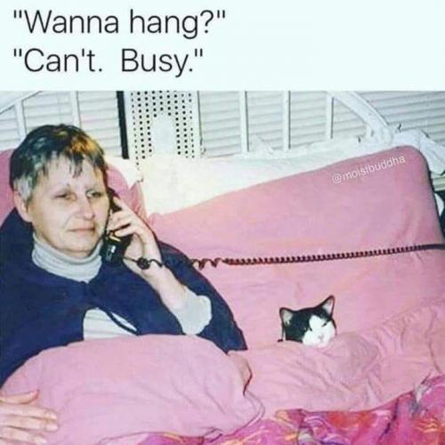 50870203_353810072125757_8223039952791797760_n