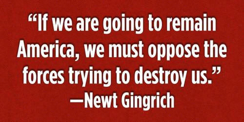 NEWT GINGRICH QUOTE