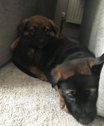 15:53:46 GMT+0500 (PKT)