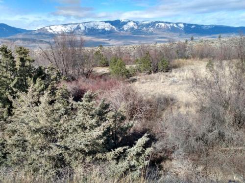 IMG_20210403_103911040_HDR