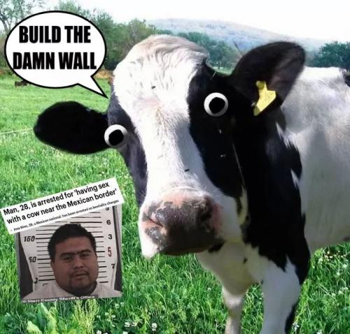 10:06:04 GMT-0500 (CDT)