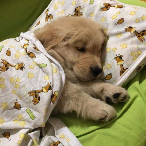 22:55:41 GMT-0500 (CDT)