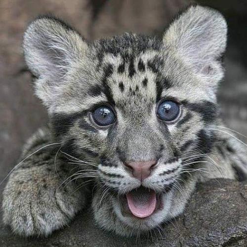 07:06:40 GMT-0500 (CDT)