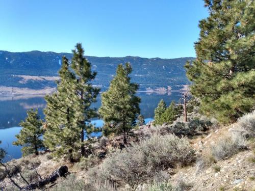 IMG_20210415_092917467_HDR