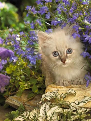 08:10:32 GMT-0500 (CDT)