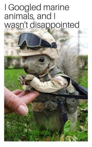 16:30:18 GMT-0700 (PDT)