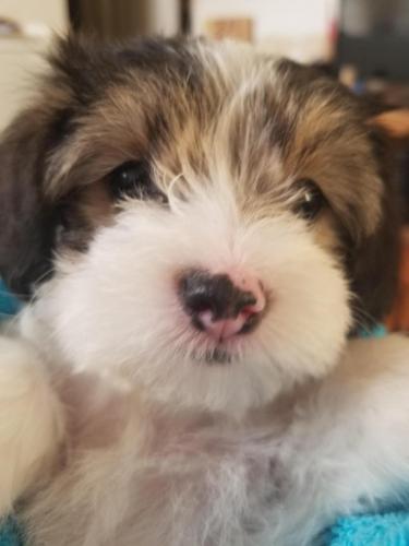 16:05:16 GMT-0400 (EDT)